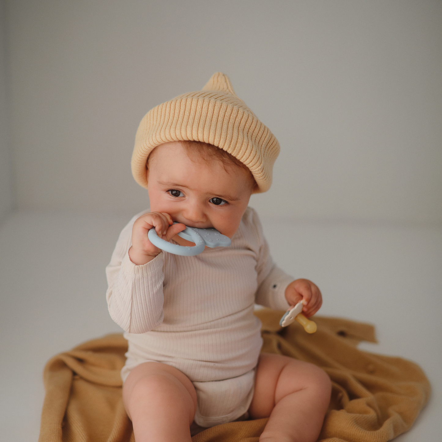 Mordedora - MSH - Elefante