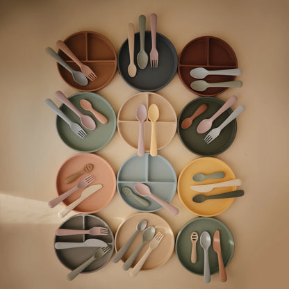 Plato de Silicón