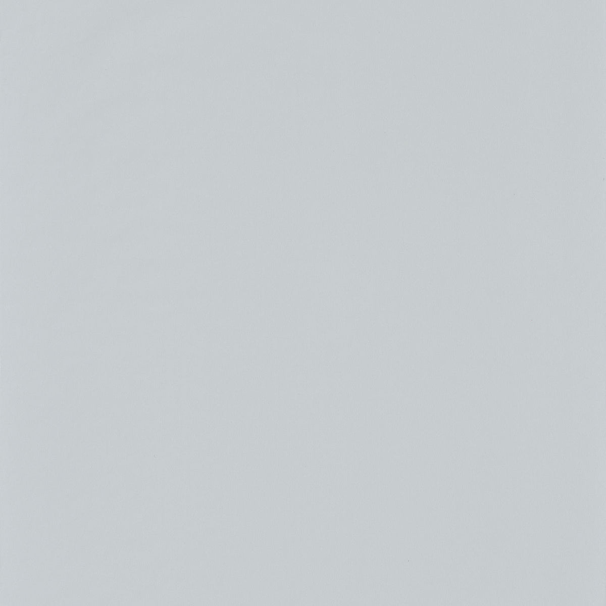 69869111 Gris Perla