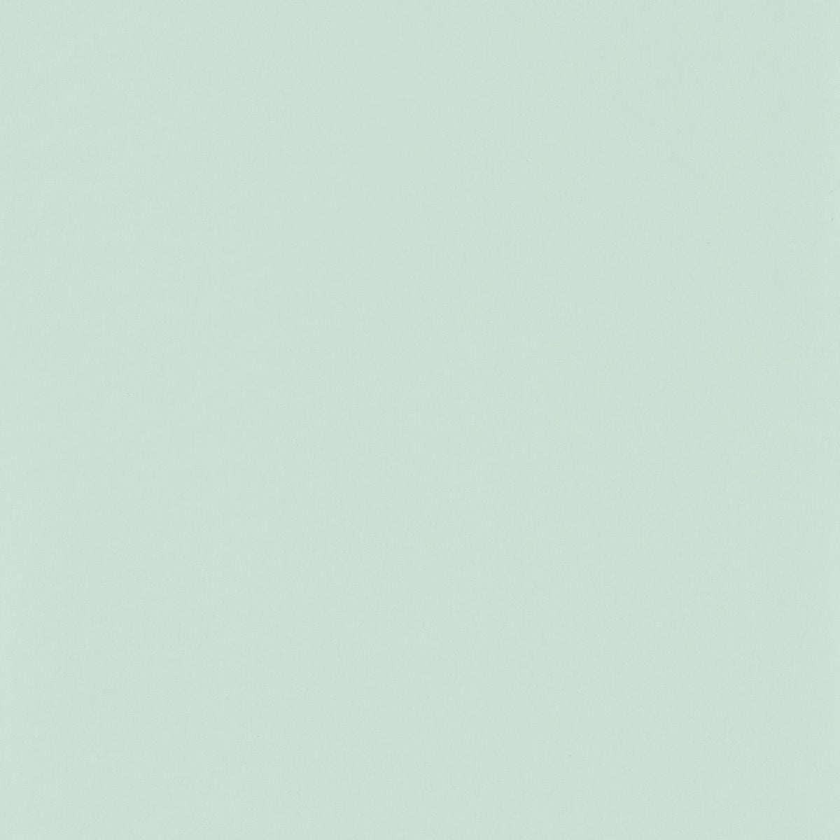 69867910 Verde Menta