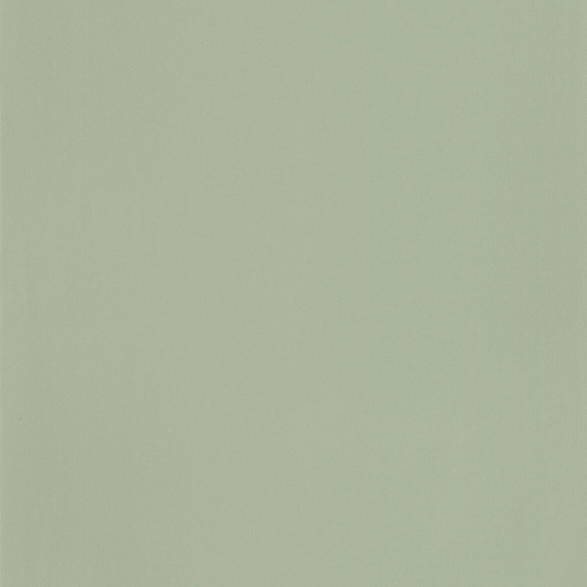 69867200 Verde Grisáceo
