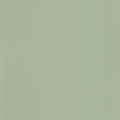 69867200 Verde Grisáceo