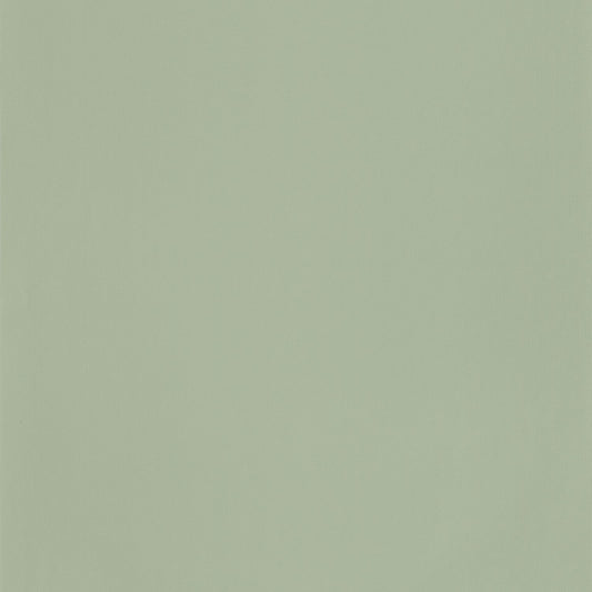 69867200 Verde Grisáceo