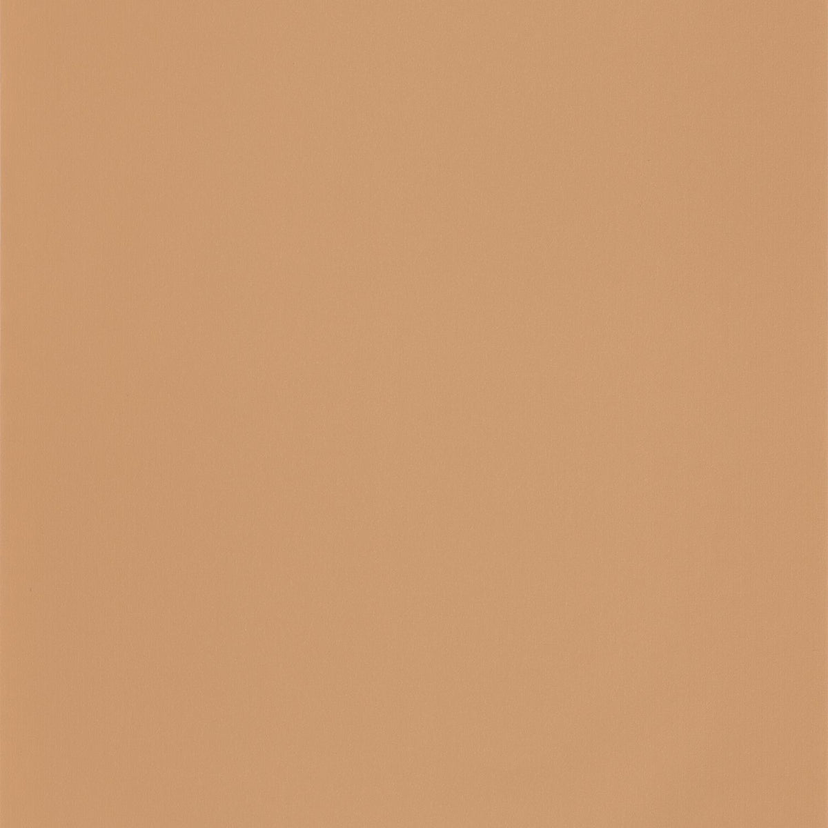 69862050 Camel