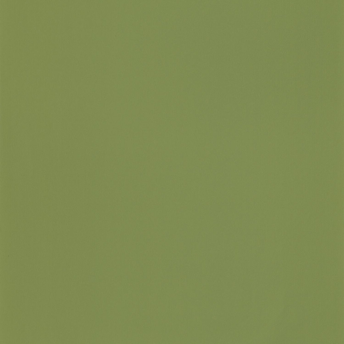69867313 Verde Musgo