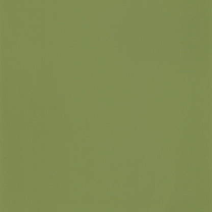 69867313 Verde Musgo
