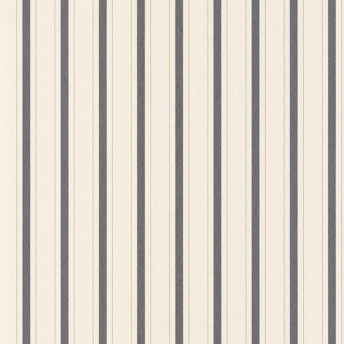 81579602 Negro Carboncillo