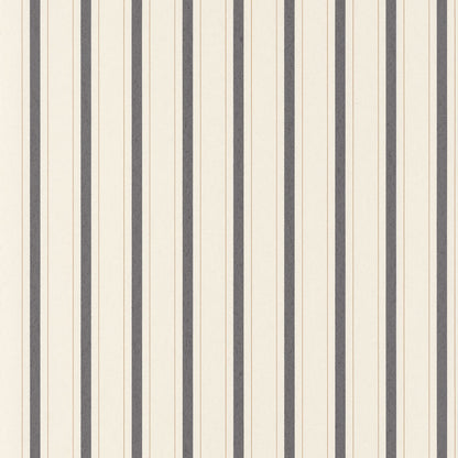 81579602 Negro Carboncillo