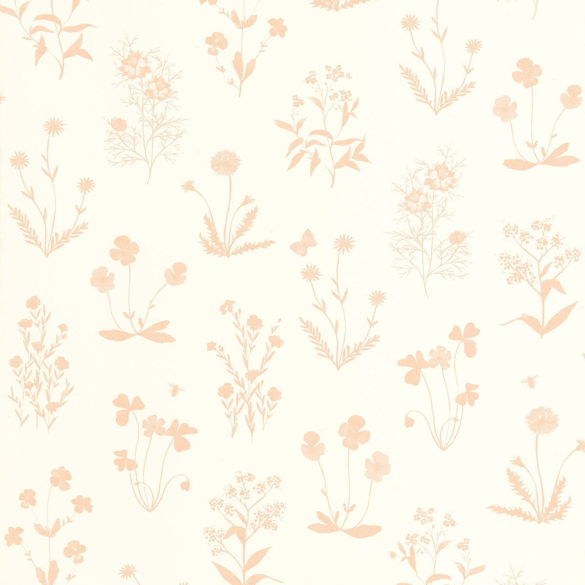 87624127 Rosa Nude