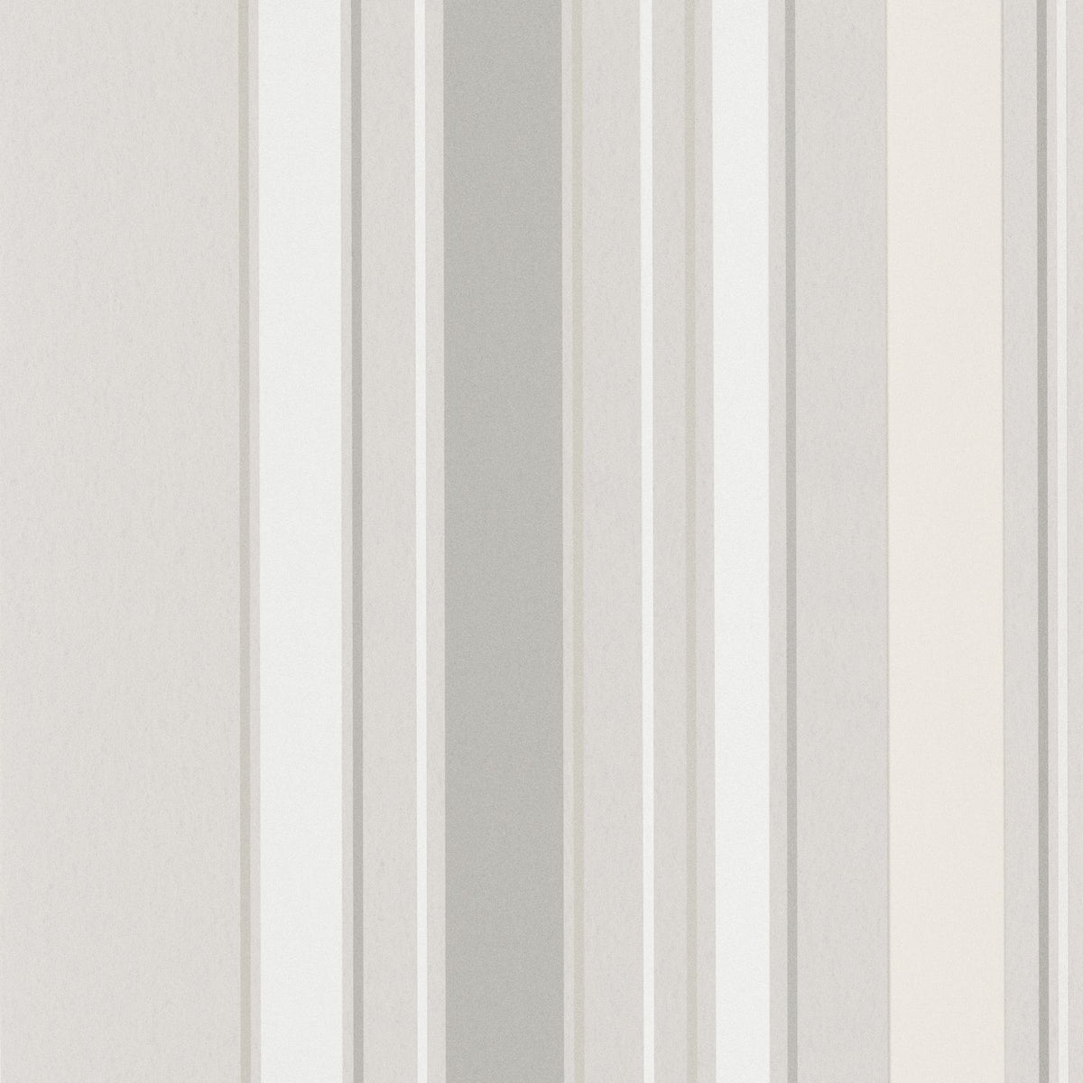 80641224 Beige