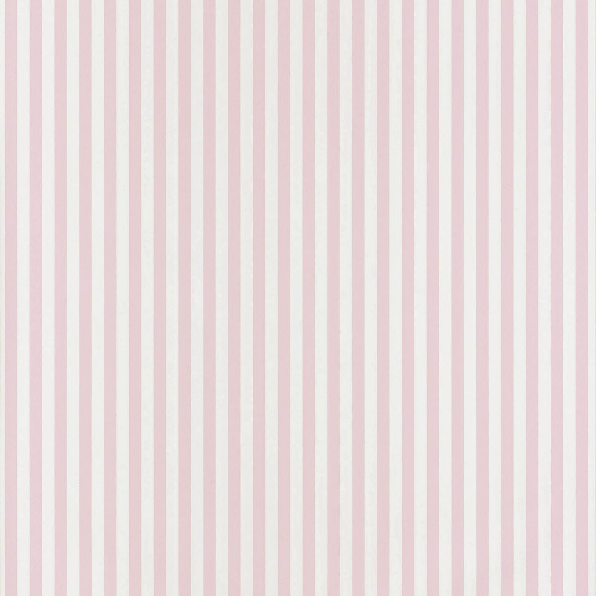 29884109 Rosa