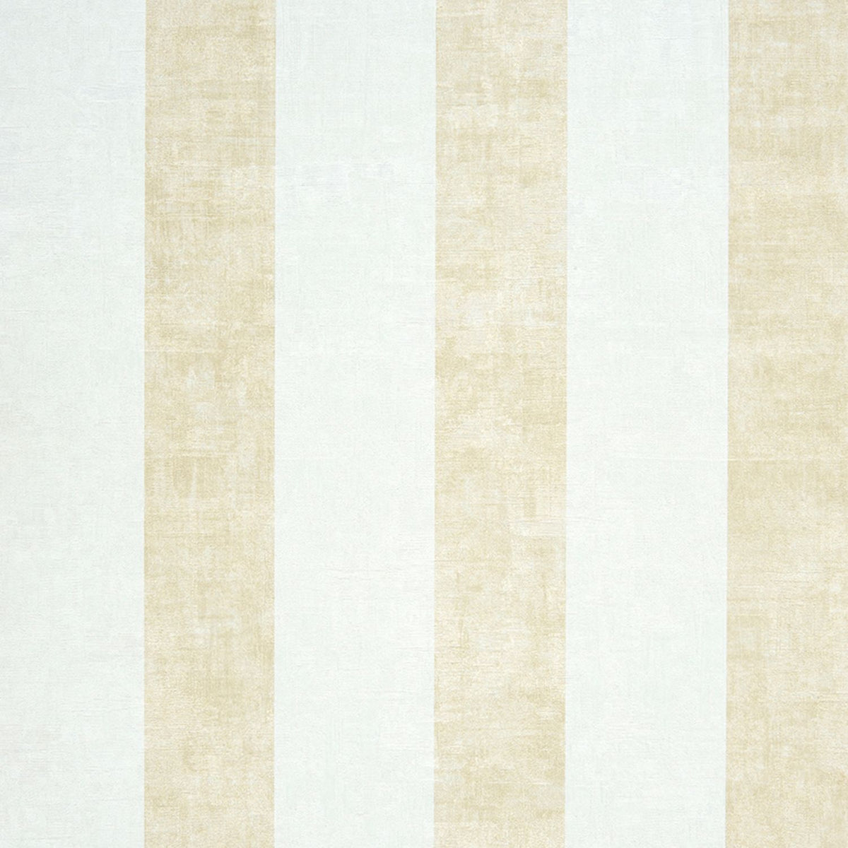 26382119 Arena