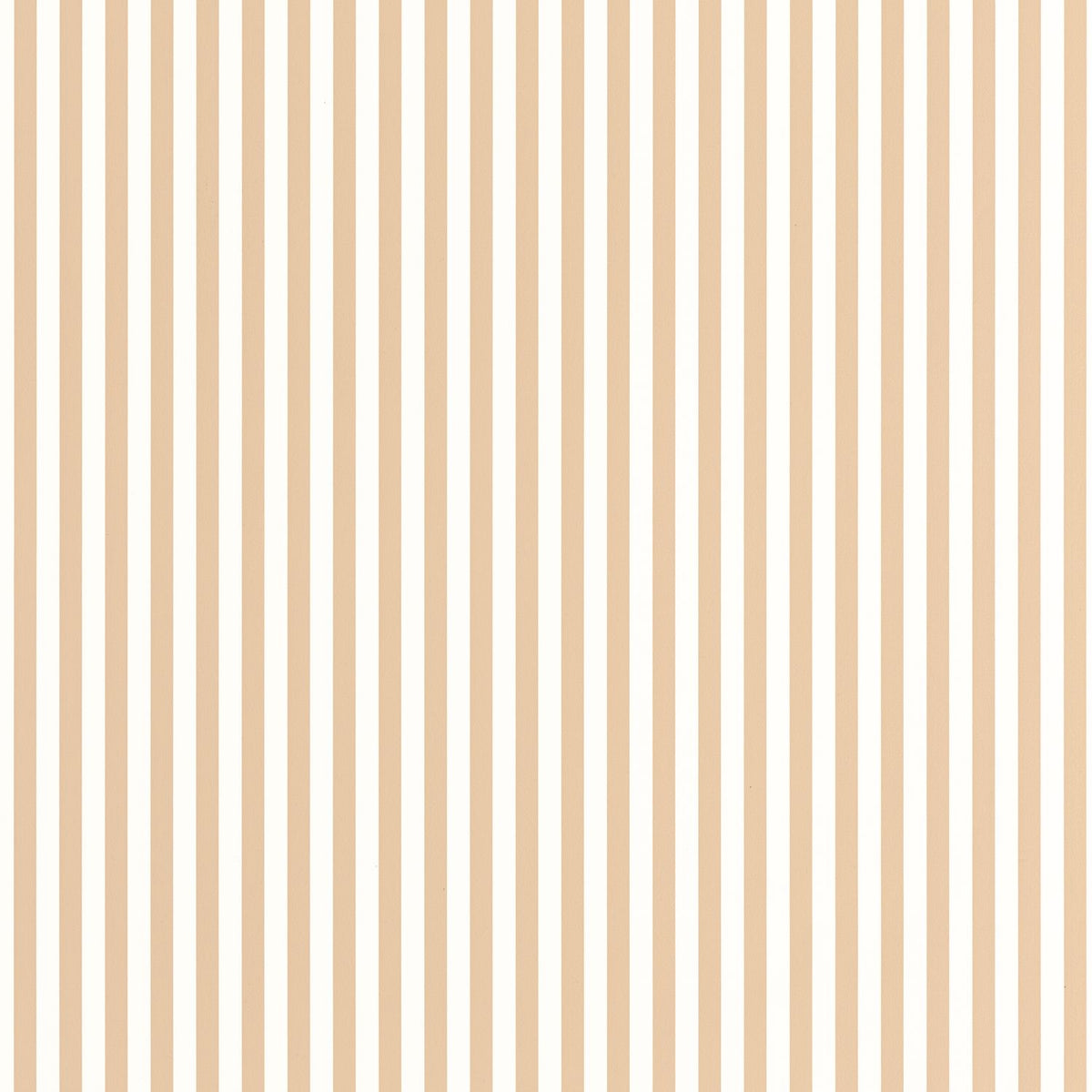 29882343 Beige Camel