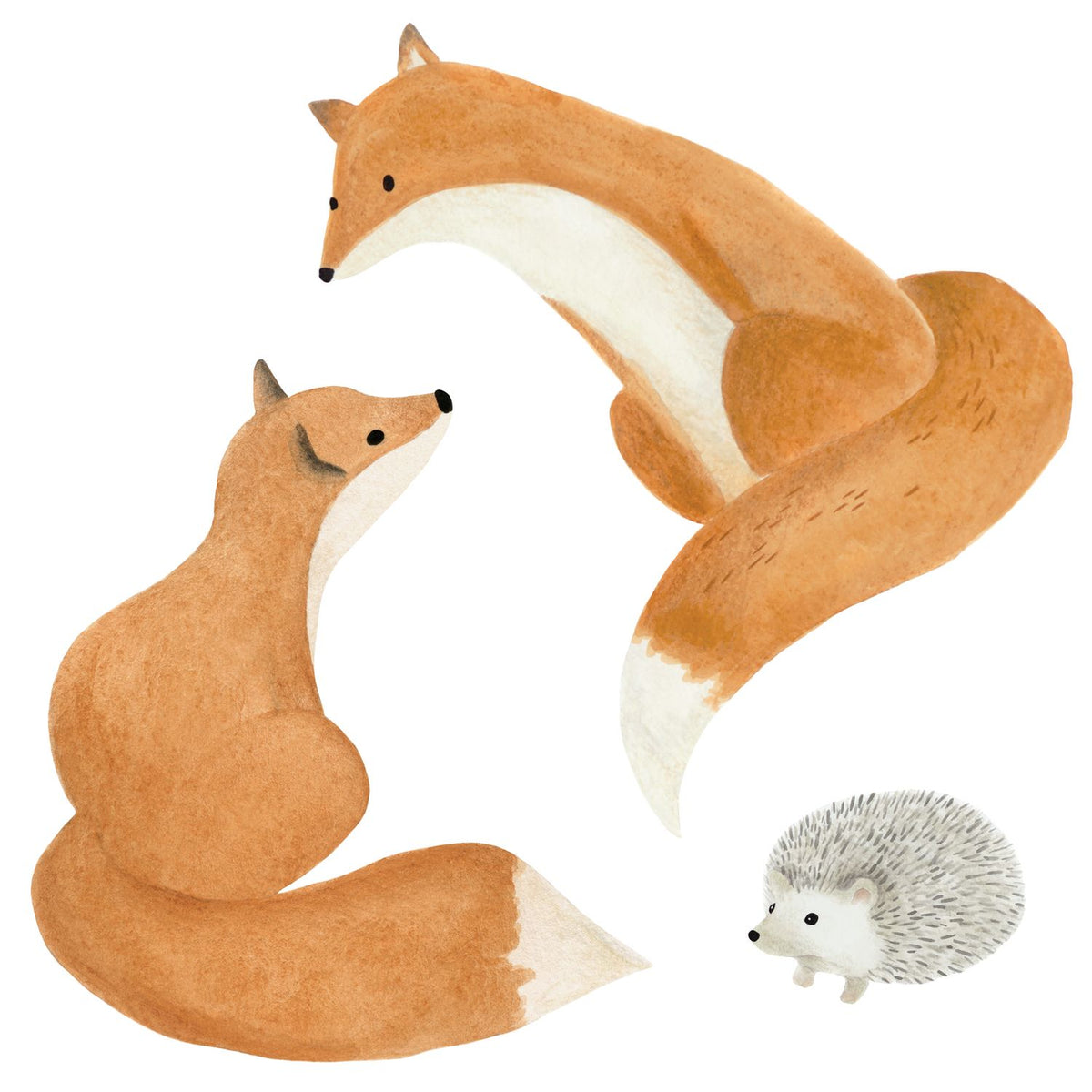Fox