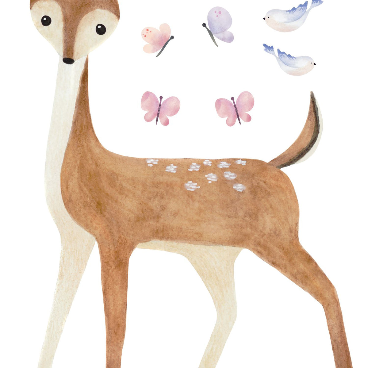 Doe