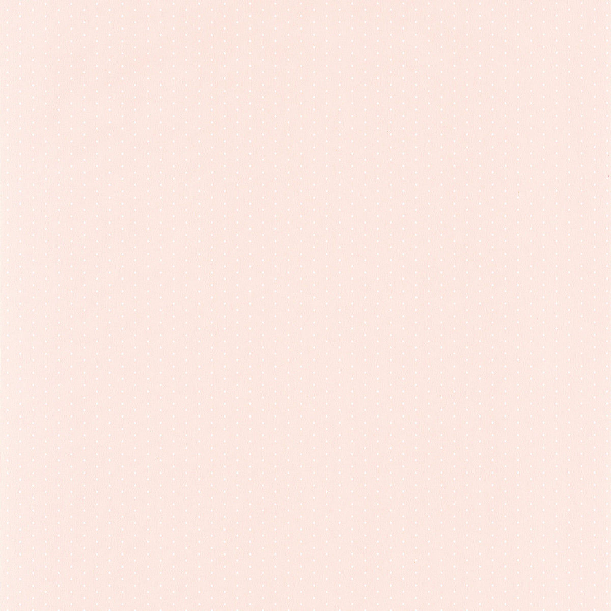 29794286 Rosa Nude