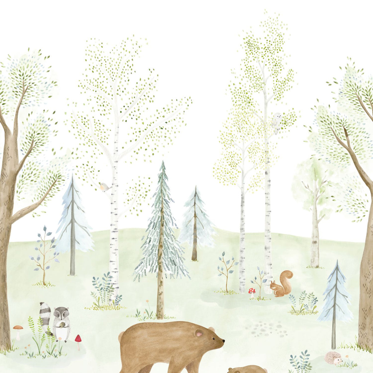 The Enchanted Forest with Bear