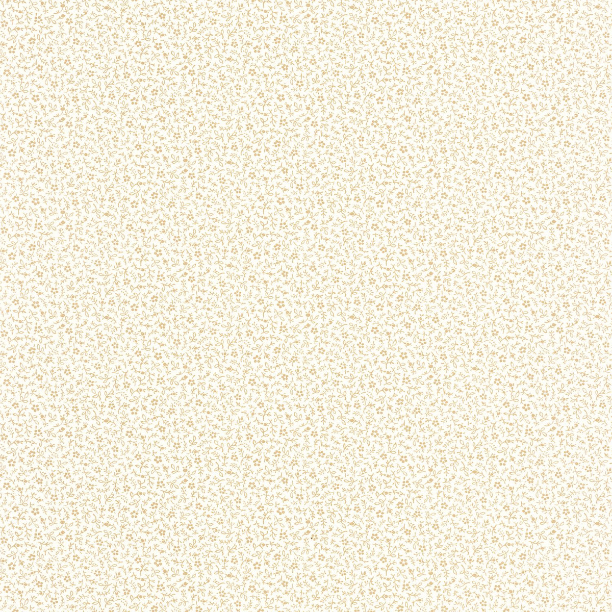 89231111 Cordel / Blanco