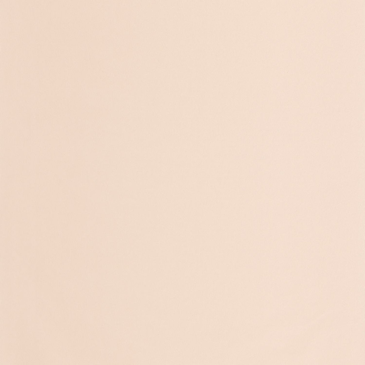 69861303 Beige