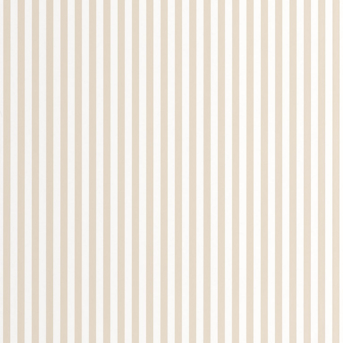 29881505 Lino
