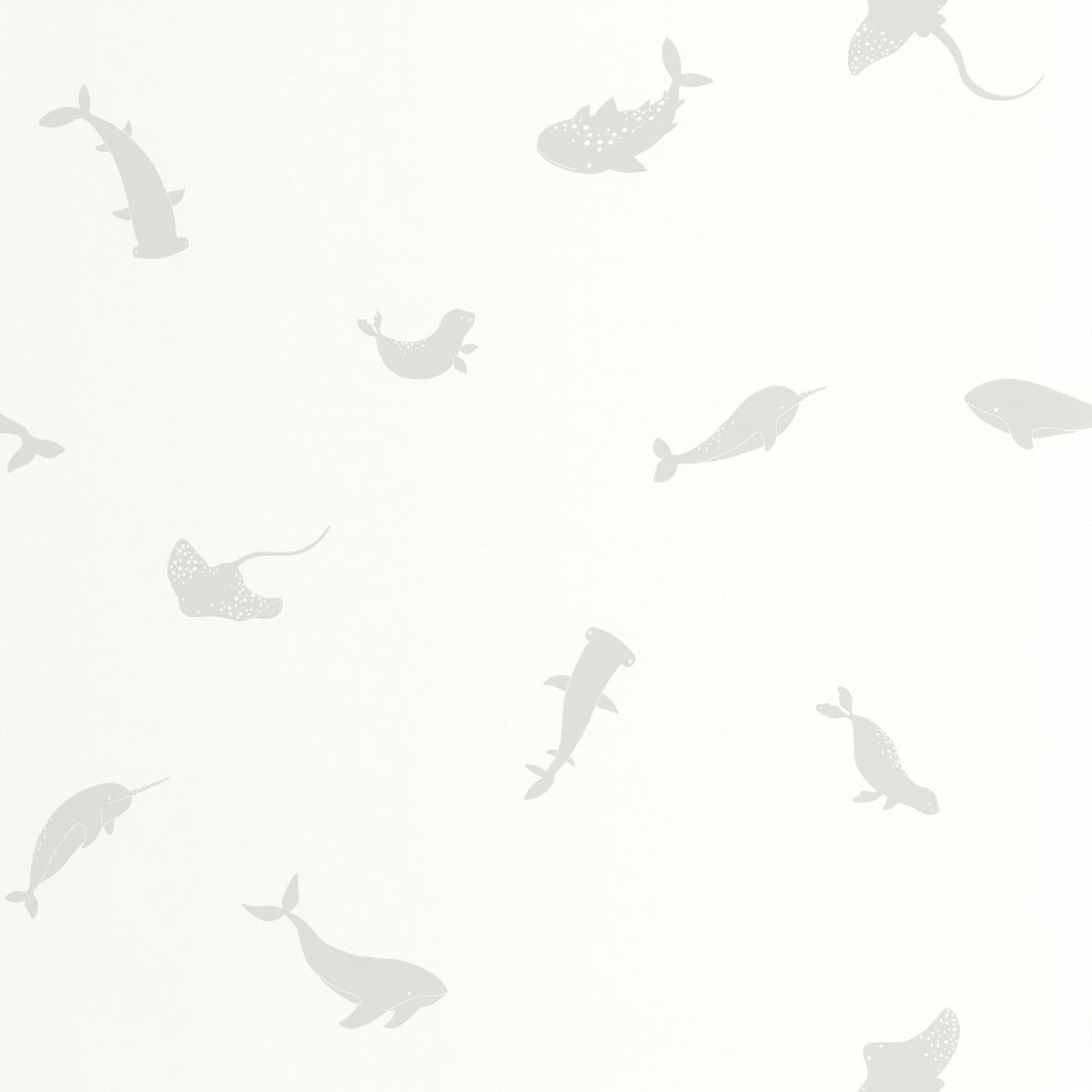 200809229 Gris Ballena