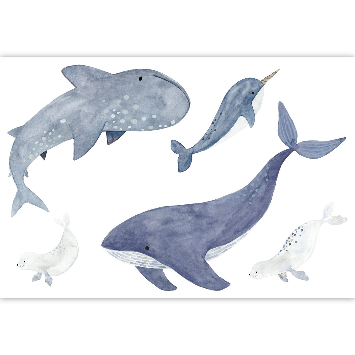 Sea Life