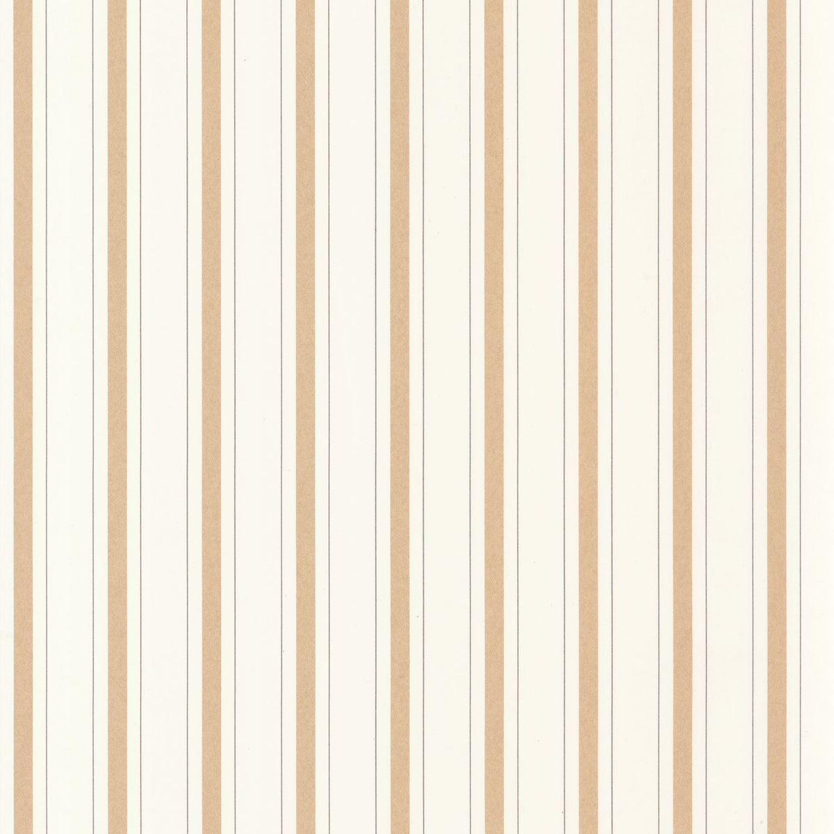 81571414 Camel
