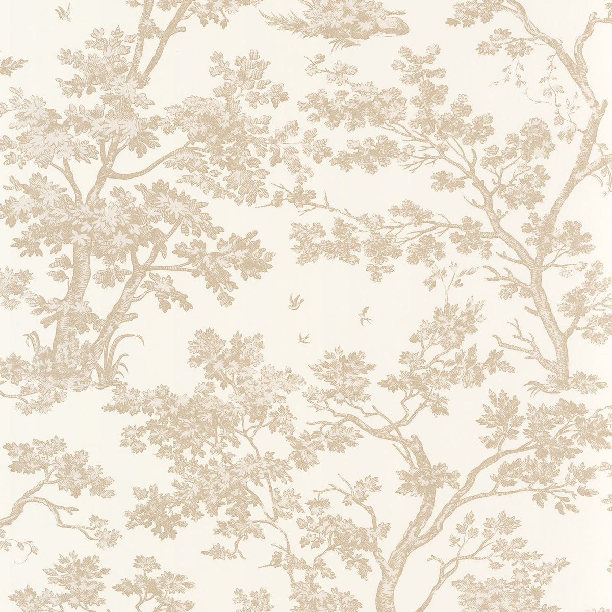 81521122 Beige Lino
