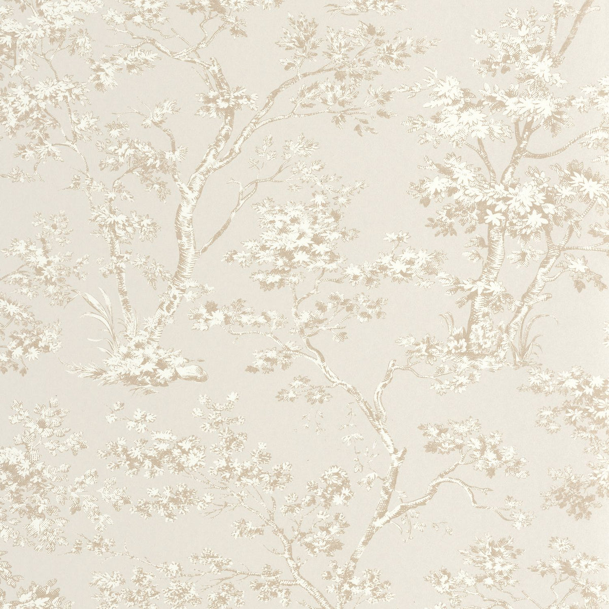 81521101 Beige