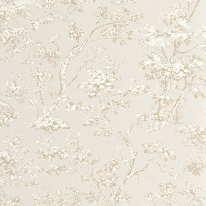 81521101 Beige