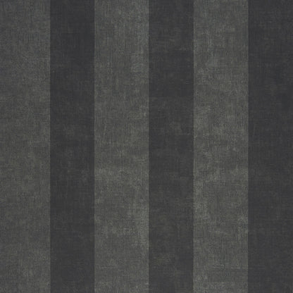26389102 Negro