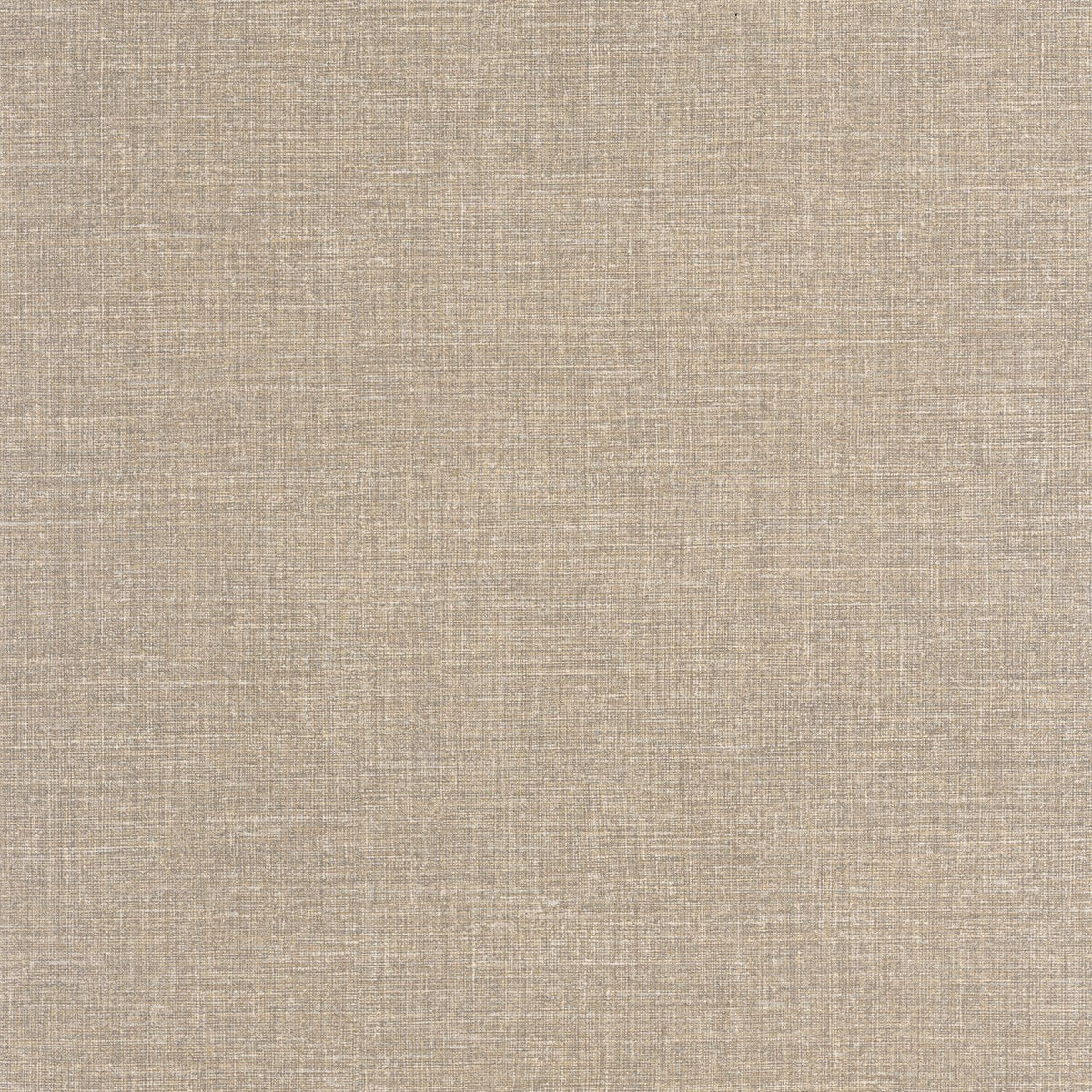 202122843 Avellana