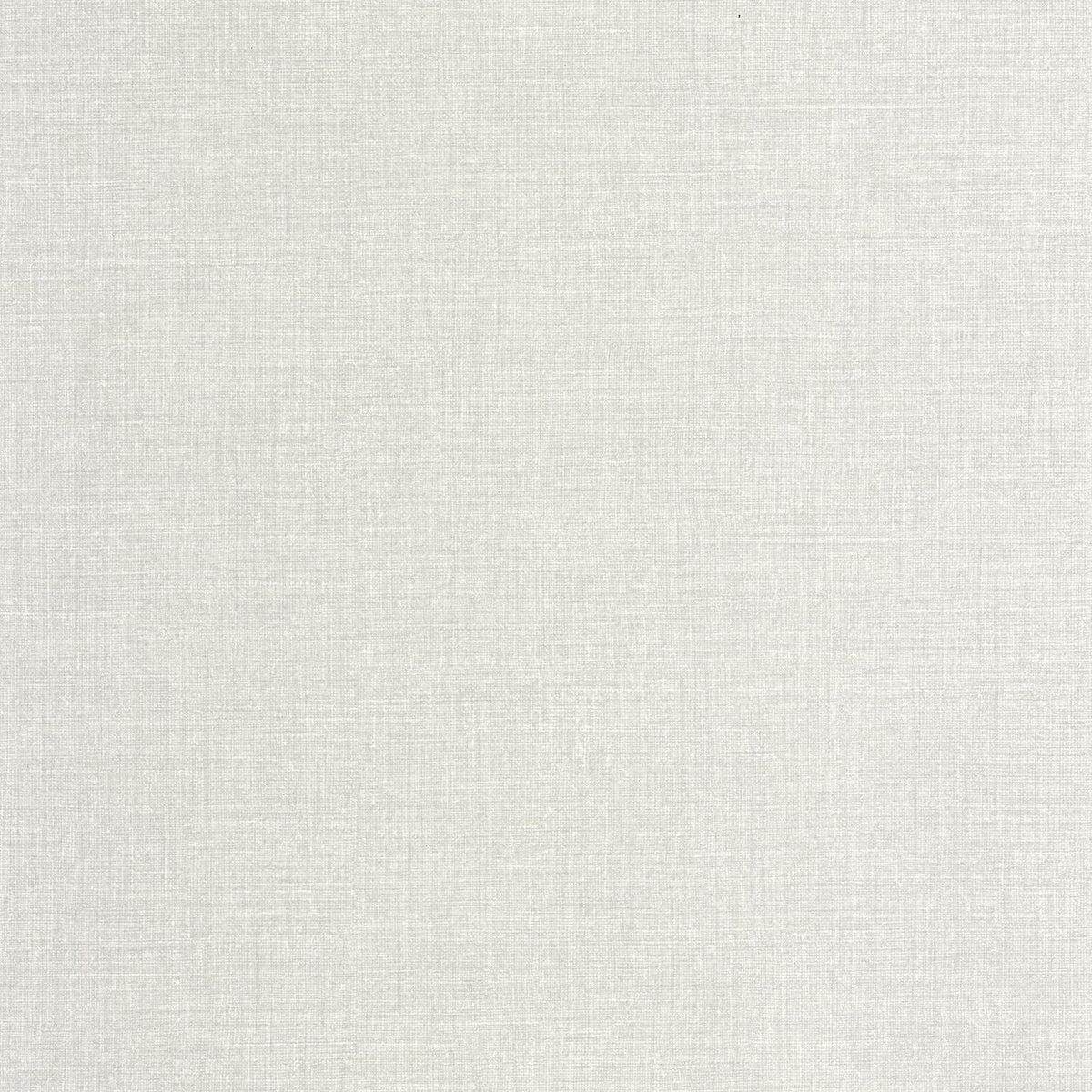 202129010 Gris Plumón