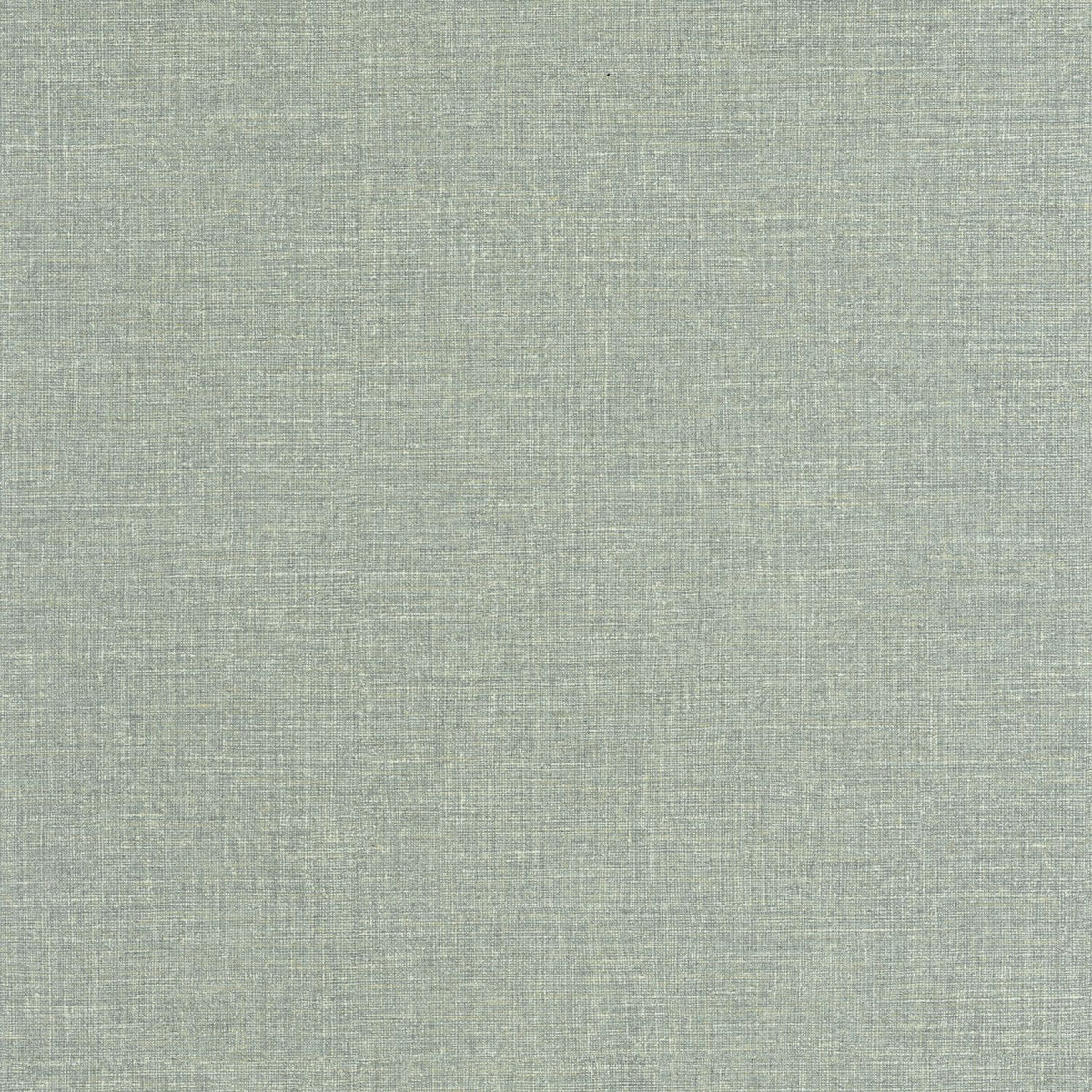 202126622 Celadón