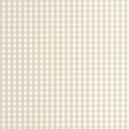 202061012 Beige Arena