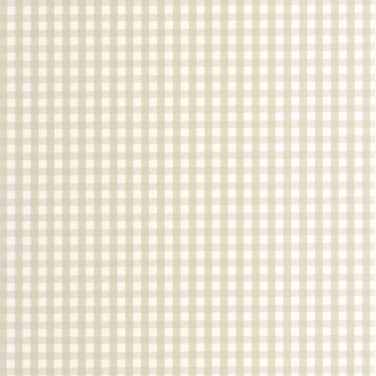 202061012 Beige Arena