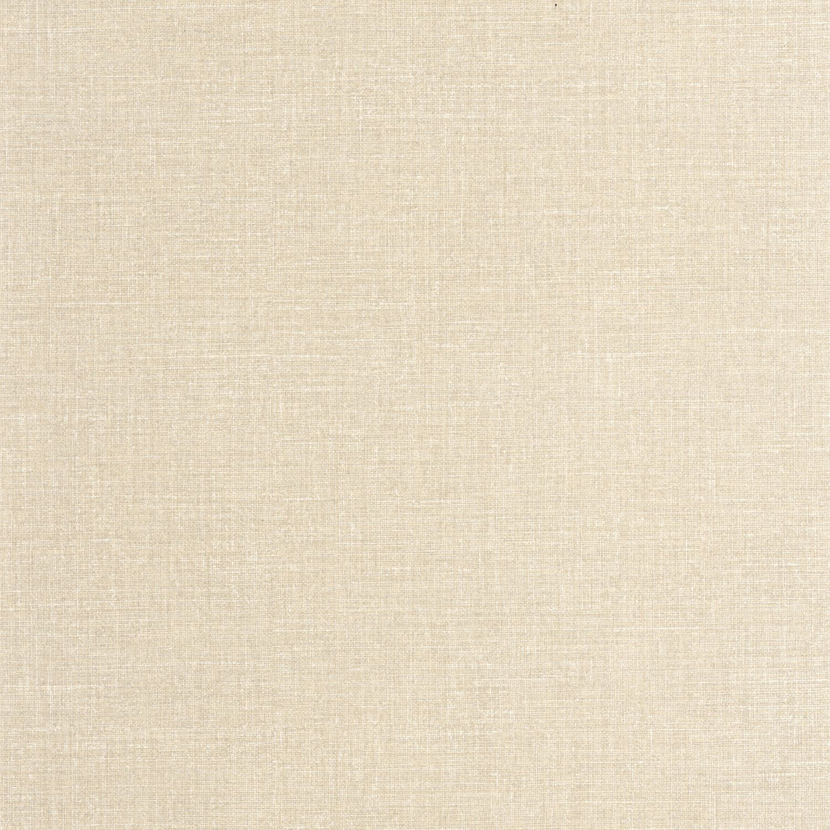 202121157 Beige Arena
