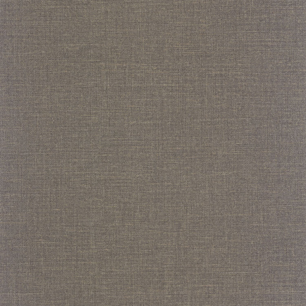 202129999 Negro Carboncillo