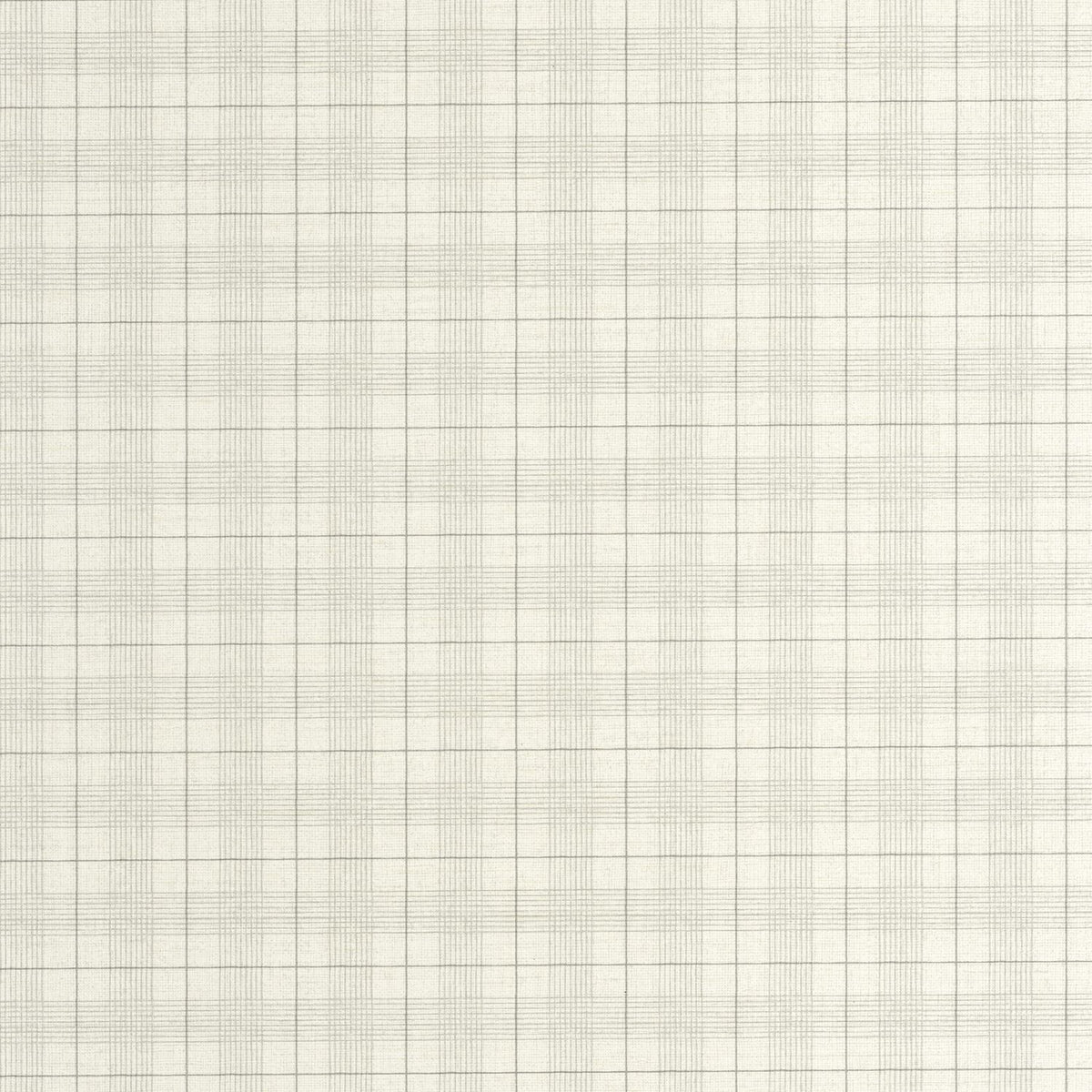 202079000 Gris Plumón