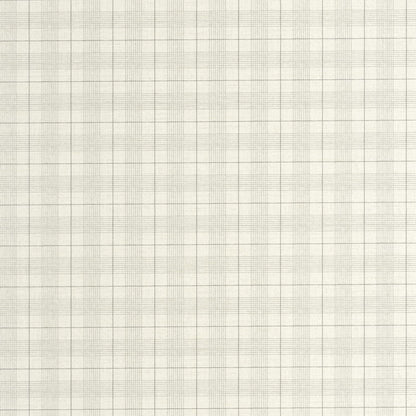 202079000 Gris Plumón