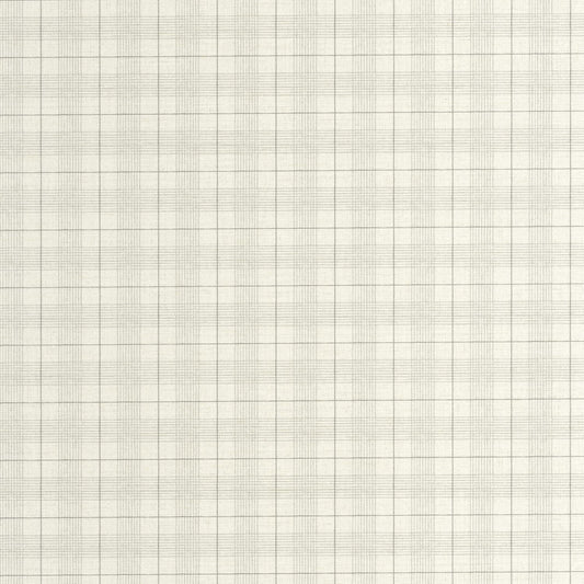 202079000 Gris Plumón