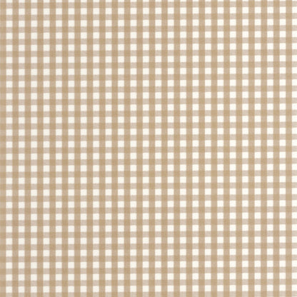 202062201 Camel