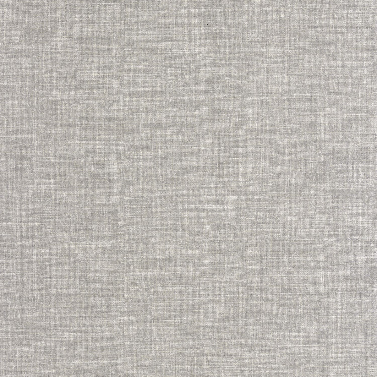 202129358 Gris Ratón