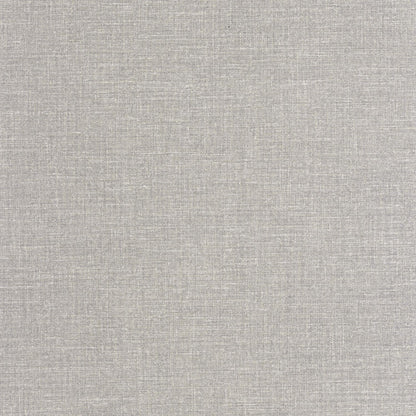 202129358 Gris Ratón