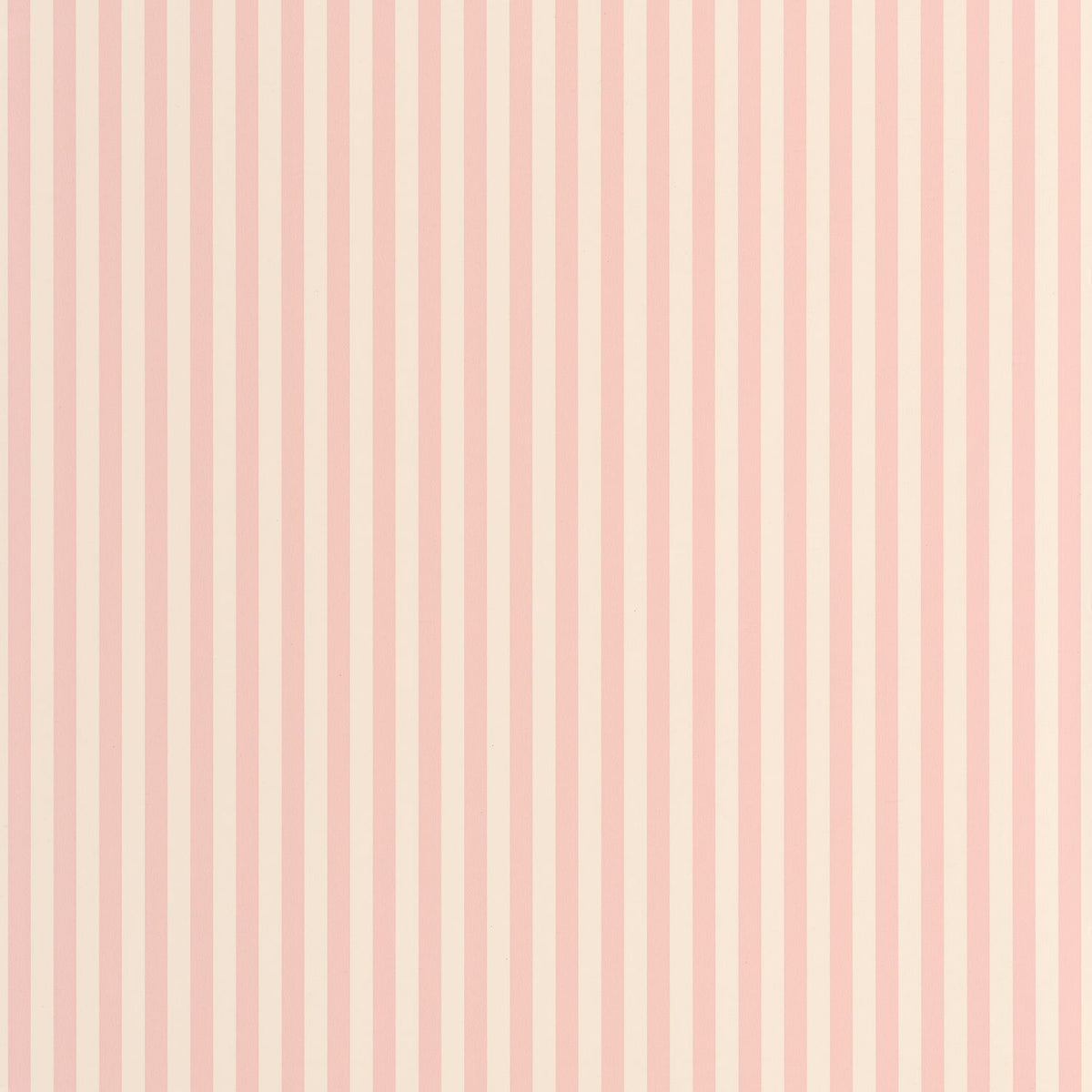 29884321 Rosa Chicle
