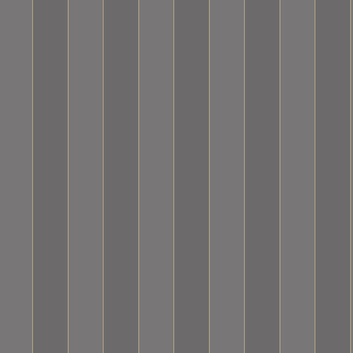 28889927 Negro