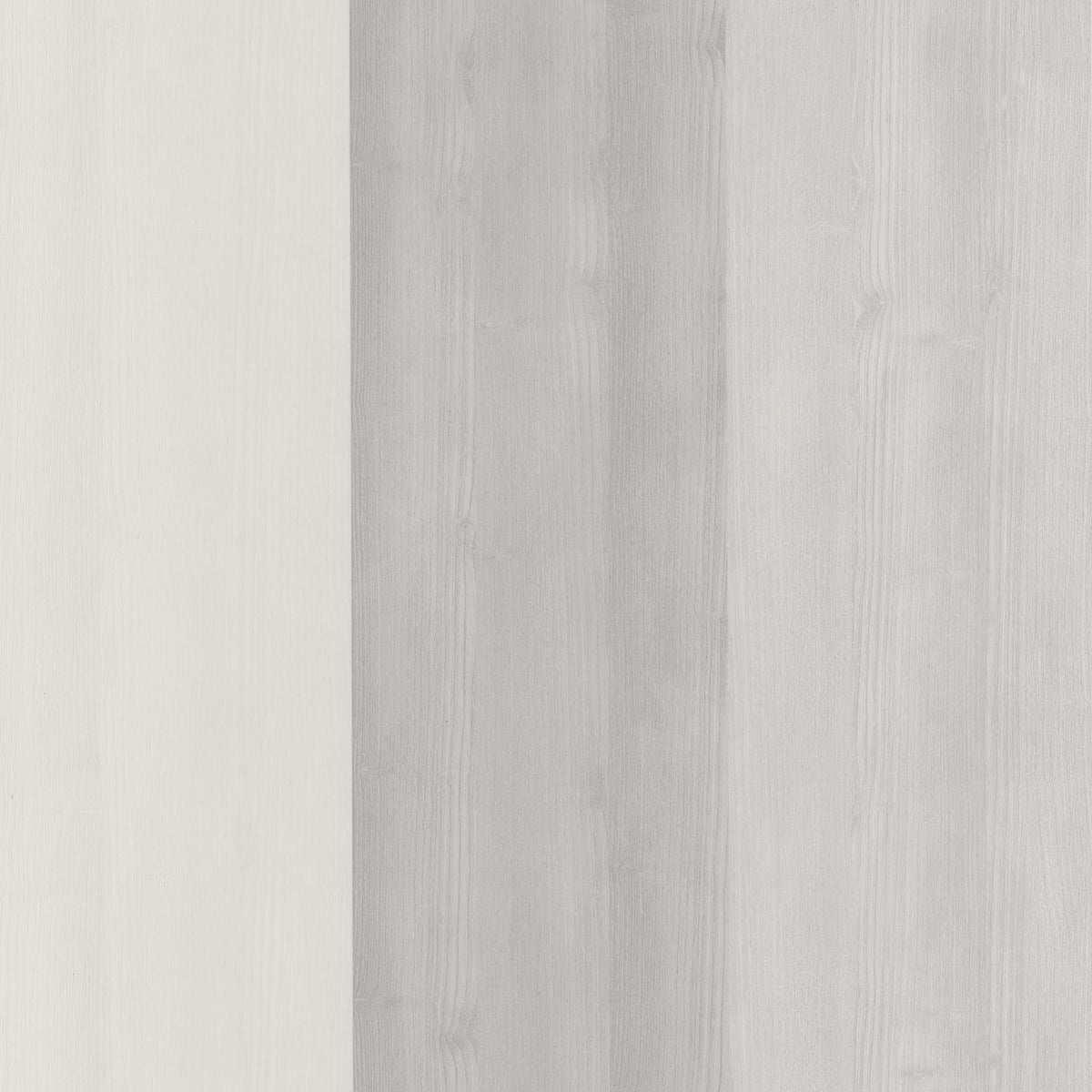 29249126 Gris