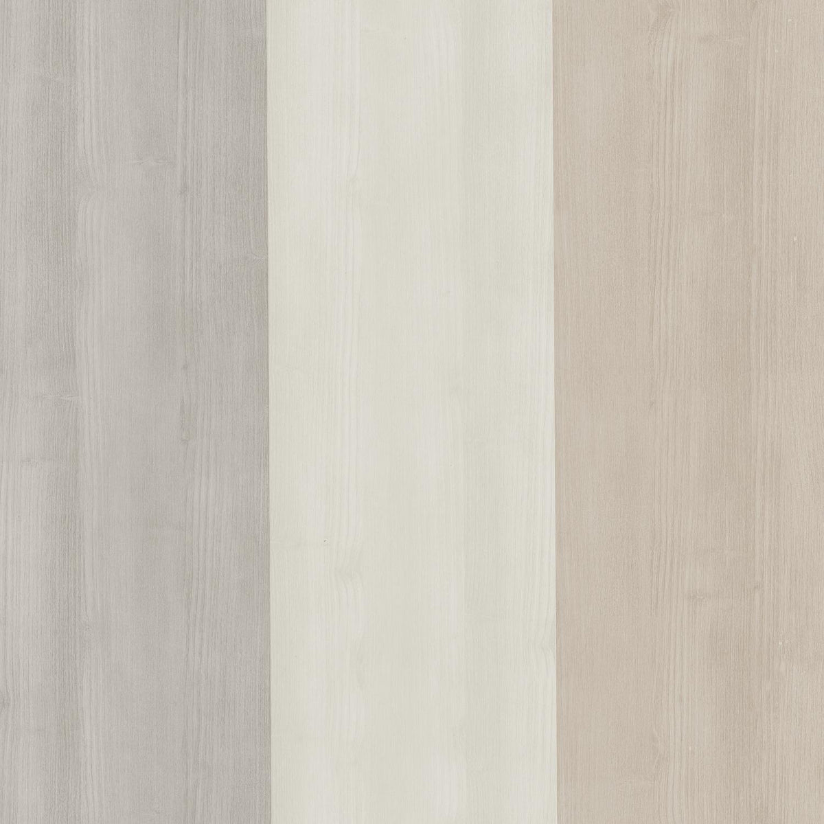 29241109 Beige