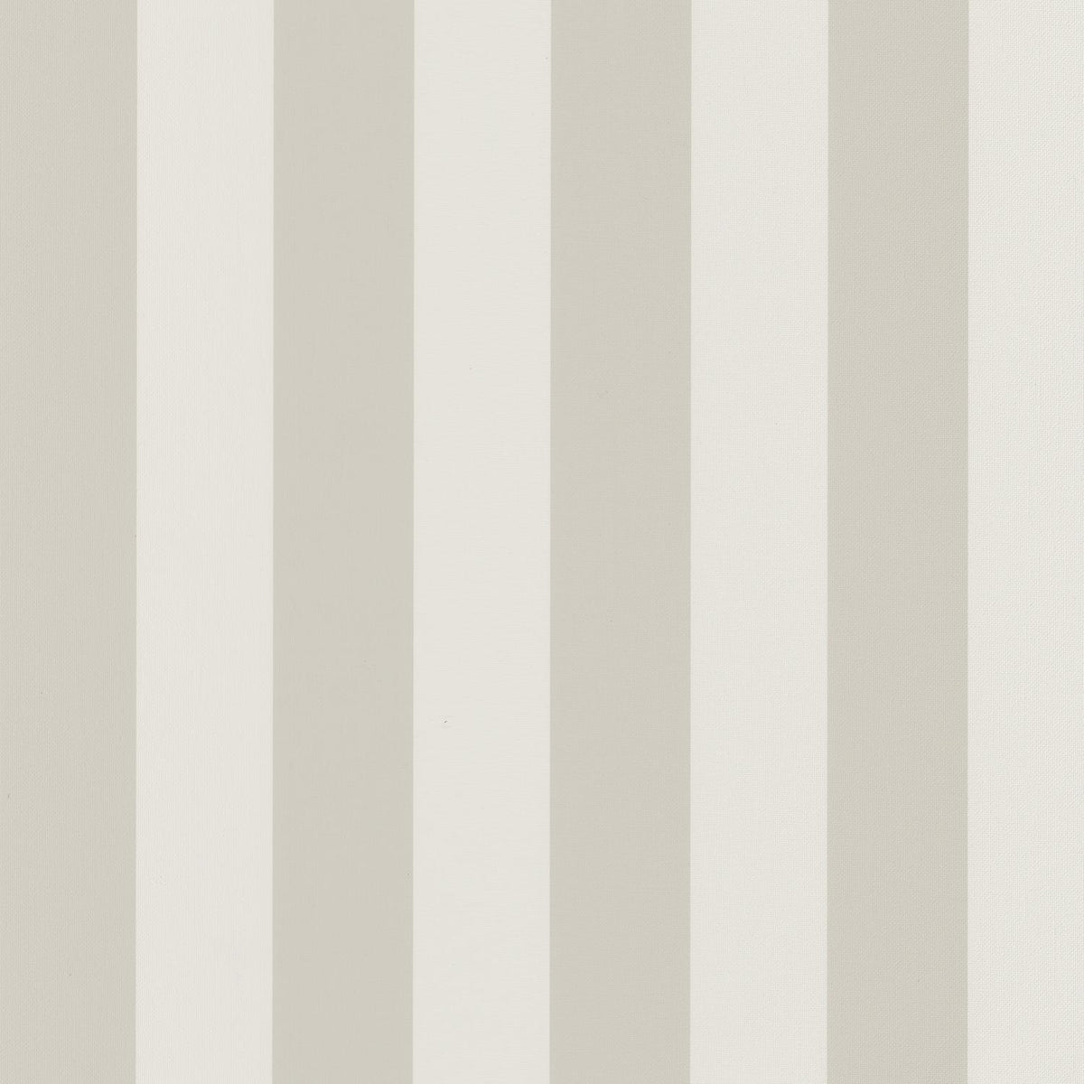 29251116 Beige / Blanco