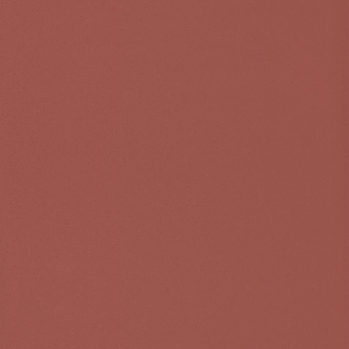 69863218 Terracota